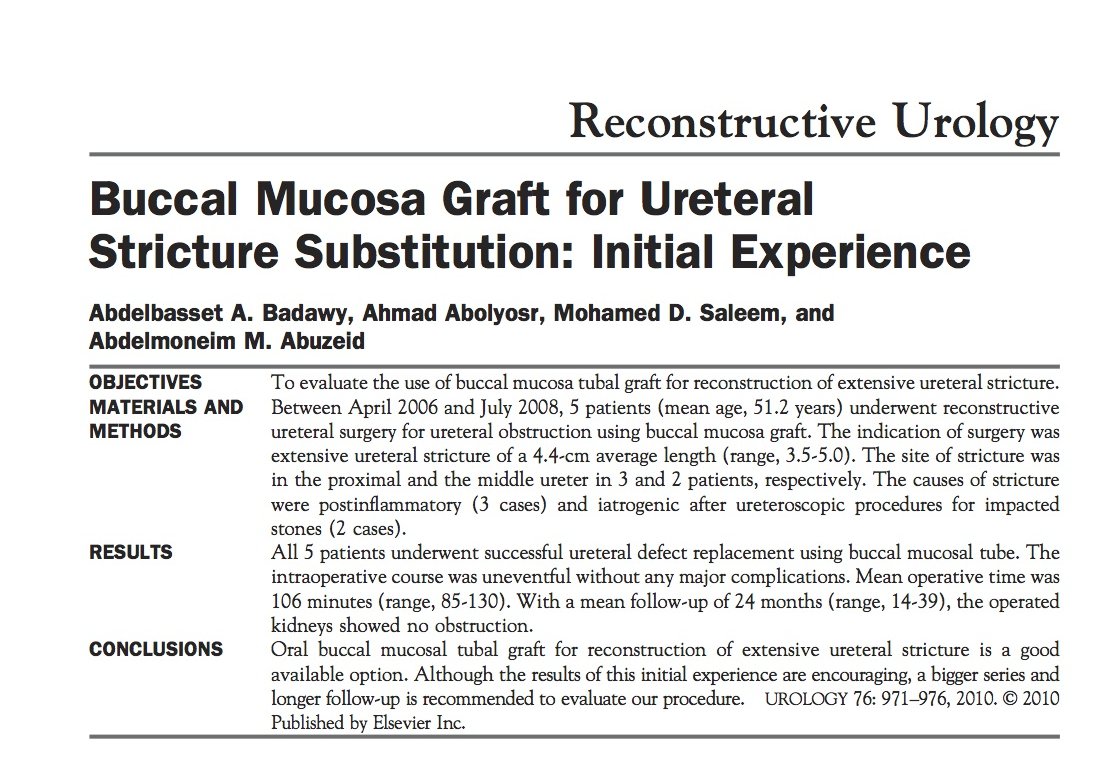 Buccal mucosa graft for ureteral stricture substitution: initial experience.
